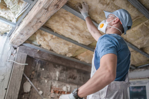 Best Insulation Installation Services in Lincoln, CA